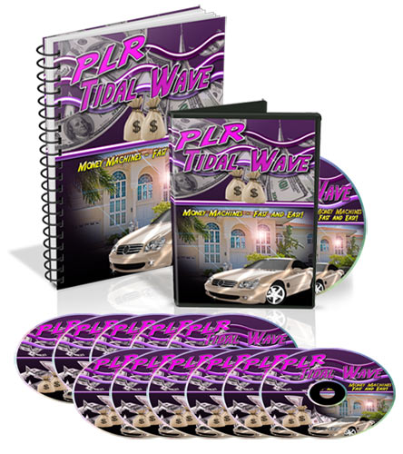 learn how to make money using plr private label rights material learn how to make money using plr private label rights material